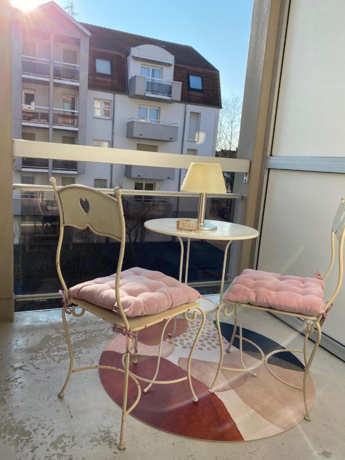 Charmant Studio A Haguenau, A 25Mn De Strasbourg Экстерьер фото